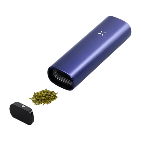 BUY 1 GET 1 FREE PAX Plus Complete Kit | Vape Amazon India Pax