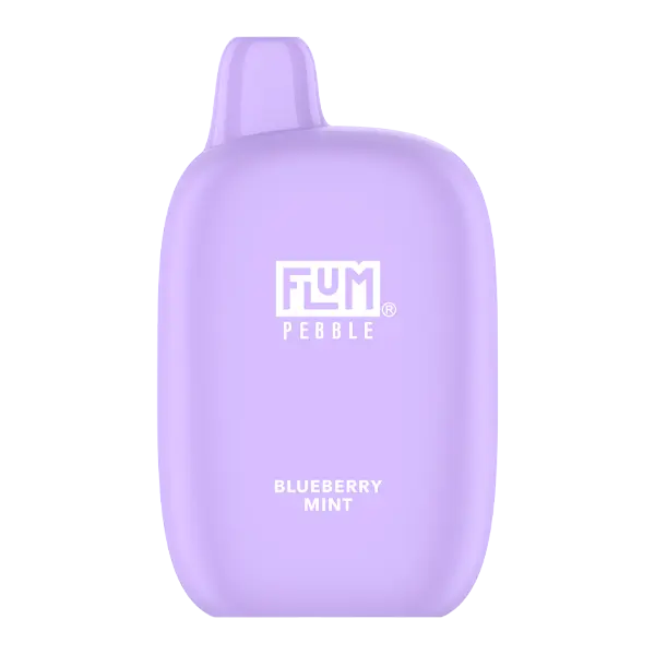BUY 1 GET 1 FREE Blueberry Mint FLUM Pebble
