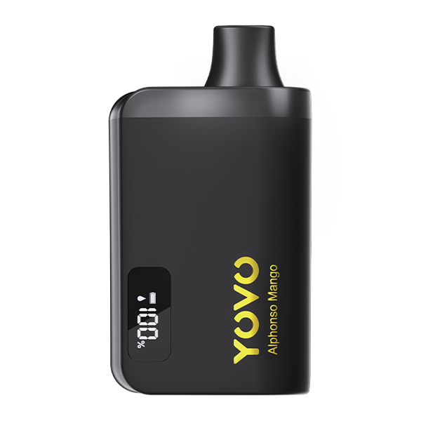 BUY 1 GET 1 FREE Alphonso Mango YOVO JB8000 Black Golden Edition