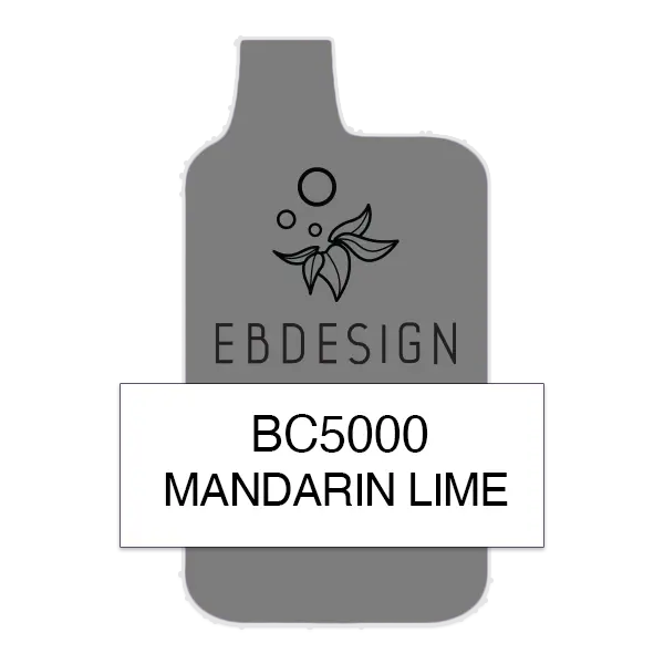 BUY 1 GET 1 FREE Mandarin Lime Elf Bar 5000