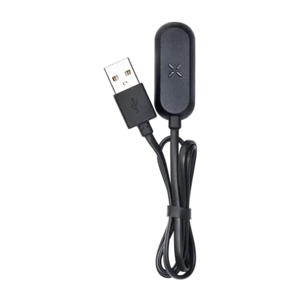 BUY 1 GET 1 FREE PAX USB Charging Cable