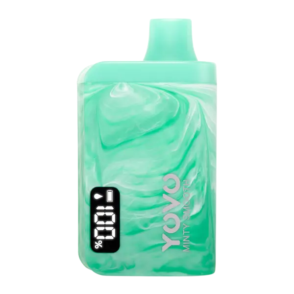 BUY 1 GET 1 FREE Minty Smooth YOVO JB8000