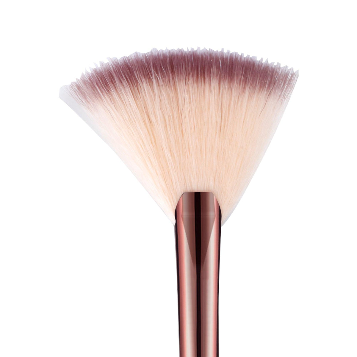 Fan Brush